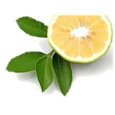 Essential Oil - Bergamot (Bergaptene Free)