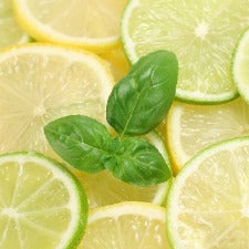 Fragrance Oil - Cool Citrus Basil (BBW Dupe) (bulk)