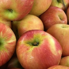 Fragrance Oil - Honeycrisp Apple (BBW Dupe) (bulk)