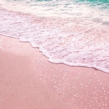 Fragrance Oil - Pink Sands (Yankee Candle Dupe) (bulk)