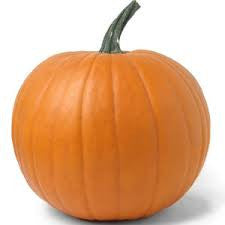 Fragrance Oil - Pumpkin Patch (bulk)