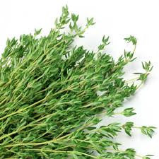 Essential Oil - Thyme White